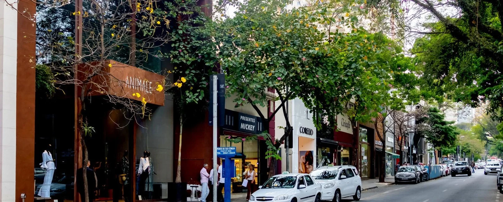 Alto Padrão nos Jardins