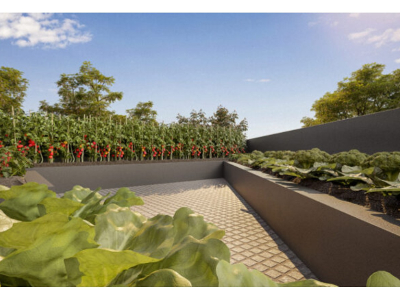 Horta comunitária do Solar das Rosas Residencial Clube