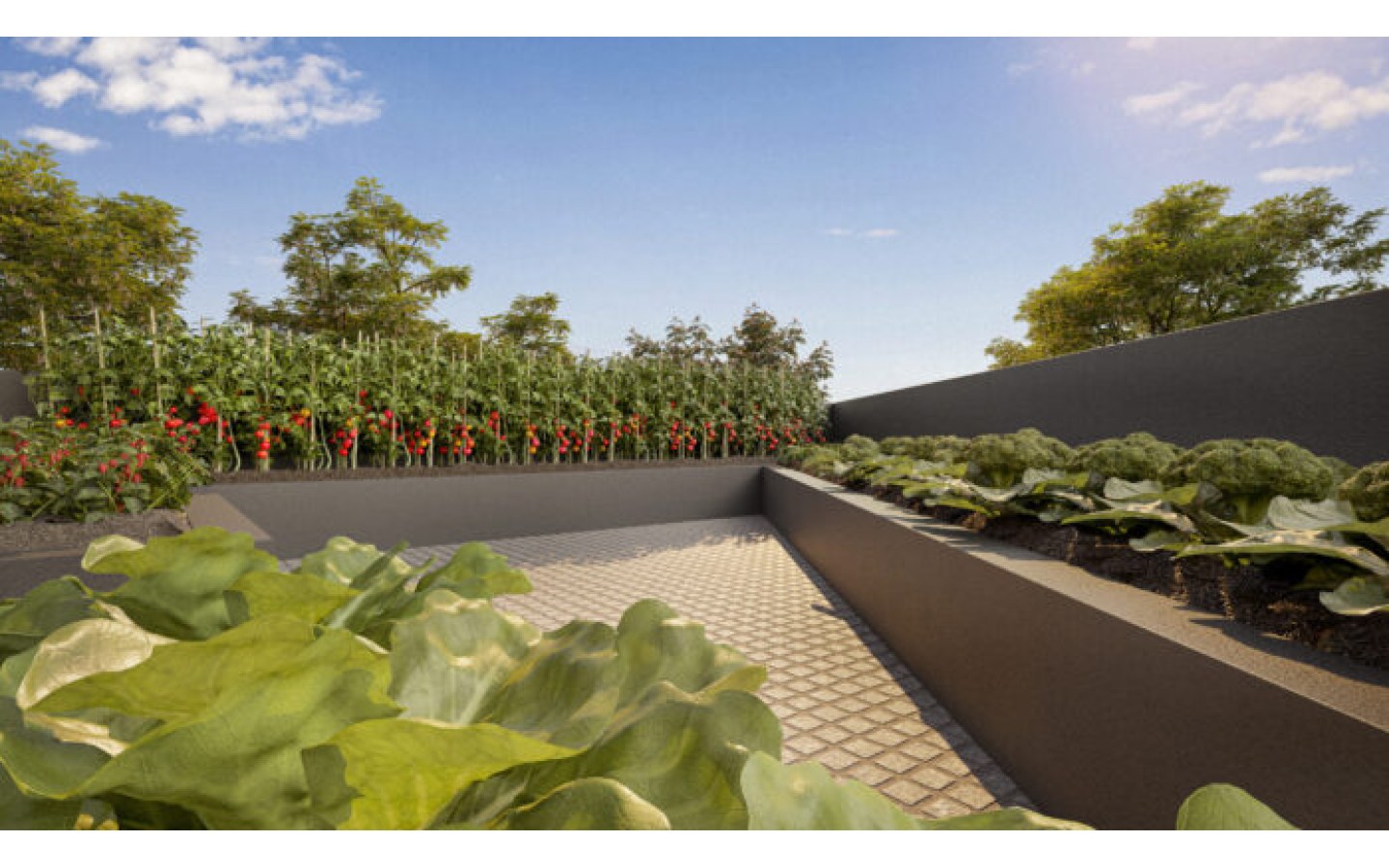 Horta comunitária do Solar das Rosas Residencial Clube