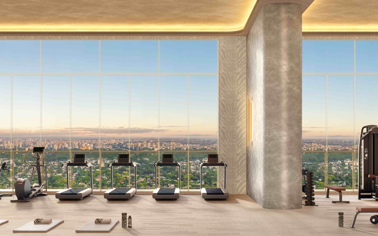 Perspectiva oficial do fitness do CAPRI