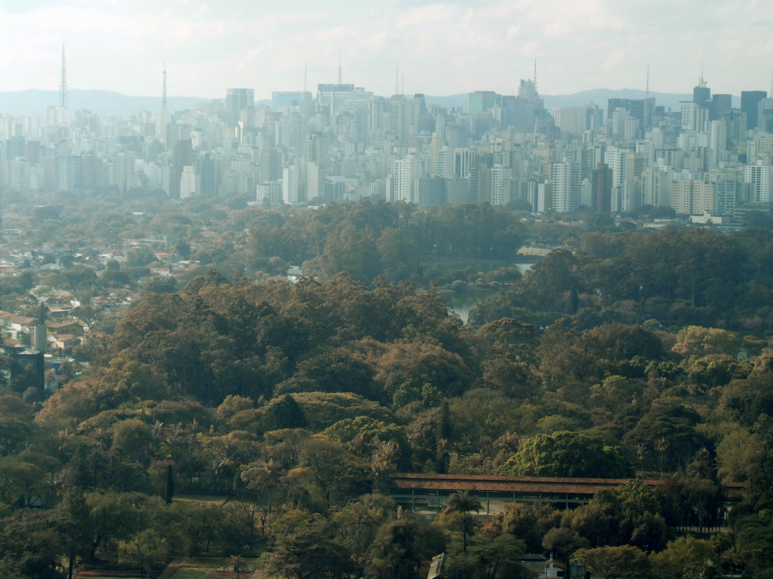 Parque Ibirapuera com a Avenida Paulista ao fundo
