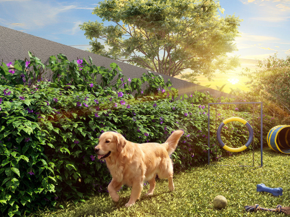 VP Cotovia — Pet place