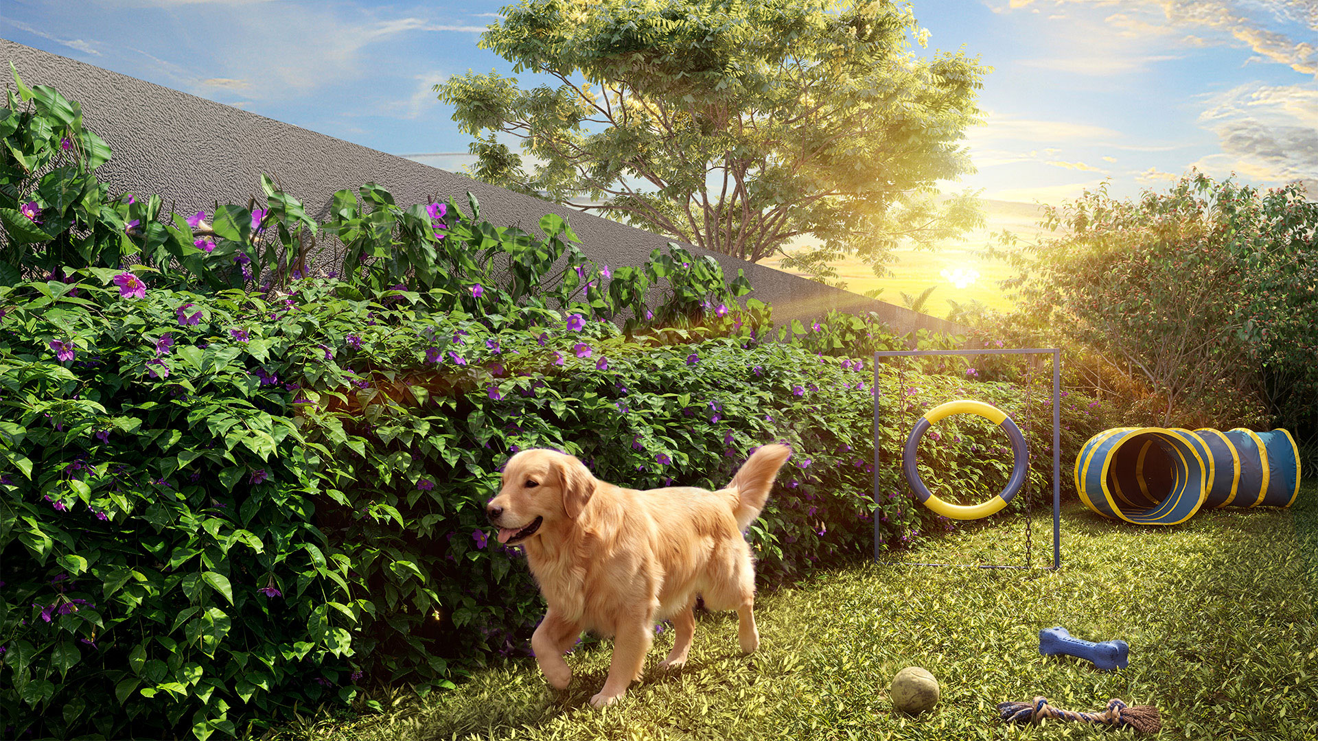 VP Cotovia — Pet place — Atendimento Especializado (11) 4237-8776 | 98026-0864 VP Cotovia — Pet place