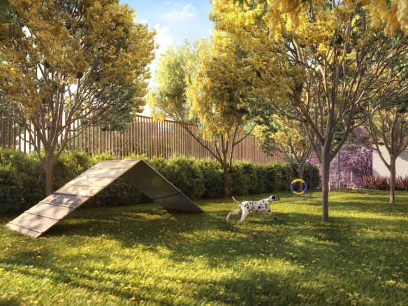 Ode Perdizes: perspectiva ilustrada do pet place