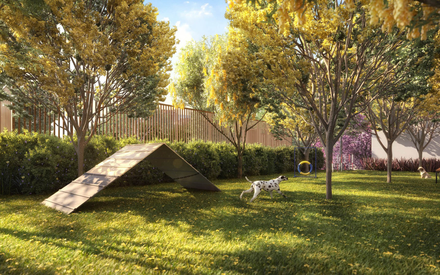 Ode Perdizes: perspectiva ilustrada do pet place